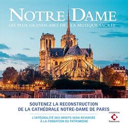 Notre-Dame: Les Plus Grands Airs De La Musique NOTRE-DAME: LES PLUS GRANDS AIRS DE LA MUSIQUE Vinyl LP
