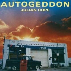 Julian Cope Autogeddon box set Coloured Vinyl 5 LP