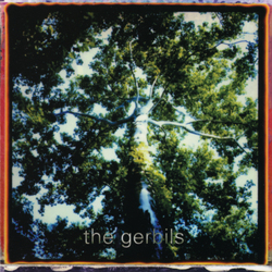 Gerbils Are You Sleepy VINYL LP