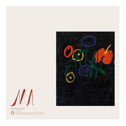 Devendra Banhart Ma Vinyl LP