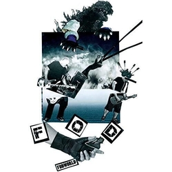 Flag Of Democracy FODWORLD VINYL LP