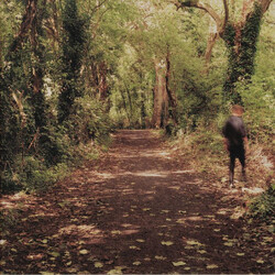 Paddy Mulcahy How To Disappear Vinyl