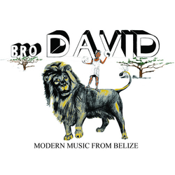 Bro David MODERN MUSIC FROM BELIZE Vinyl LP