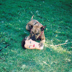 Joyce Manor Cody Vinyl LP