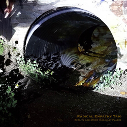Radical Empathy Trio Reality and Other Imaginary Places Vinyl LP