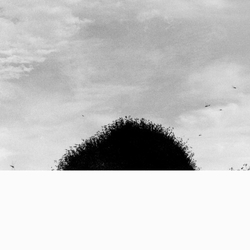 Chihei Hatakeyama FORGOTTEN HILL Vinyl LP