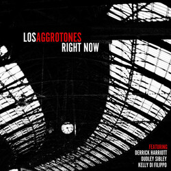Los Aggrotones Right Now Vinyl LP