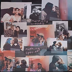 Harmony Woods Nothing Special VINYL LP