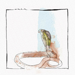David Mayer Skanda Vinyl LP