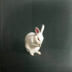 Brume (4) Rabbits VINYL LP