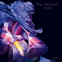 Various Pop Ambient 2020 Vinyl 2 LP