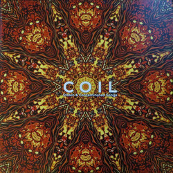 Coil Stolen & Contaminated Songs Vinyl 2 LP