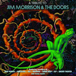 Various A Tribute To Jim Morrison & The Doors Vinyl LP