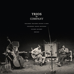 Company Trios Vinyl 2 LP