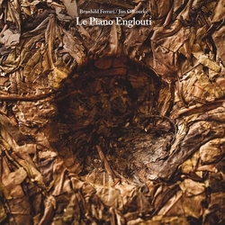 Brunhild Meyer-Ferrari / Jim O'Rourke Le Piano Englouti Vinyl LP