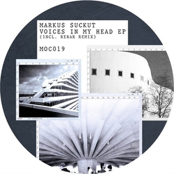 Markus Suckut Voices In My Head remix Vinyl LP