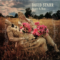 David Starr Beauty & Ruin VINYL LP