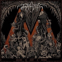 Svarttjern Shame Is Just A Word Vinyl LP
