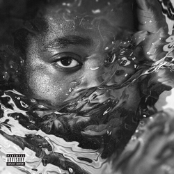 R.Lum.R Surfacing VINYL LP