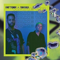 Fat Tony (5) / Taydex Wake Up VINYL LP