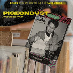 Pigeondust Way Back When VINYL 2 LP