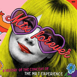The Mr. T Experience Mtx Forever: A History Of The Concept Of The Mr. T Experience Vinyl 2 LP