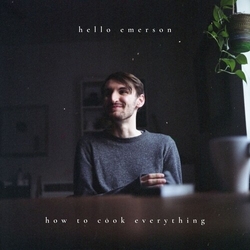 Hello Emerson HOW TO COOK EVERYTHING VINYL LP