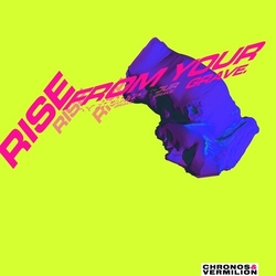 Macintosh Plus Sick & Panic picture disc Vinyl LP