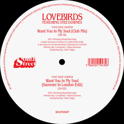 Stee Lovebirds / Downes Want You In My Soul Vinyl 12"
