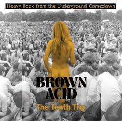 Various Brown Acid: The Tenth Trip (Heavy Rock From The Underground Comedown VINYL LP