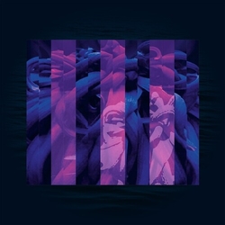 Electric Sewer Age CONTEMPLATING NOTHINGNESS Vinyl LP