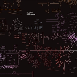 Fire Orchestra ACTIONS Vinyl LP