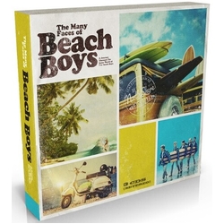 The Beach Boys / Various The Many Faces of the Beach Boys CD