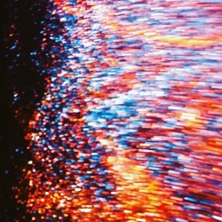 Takayuki Shiraishi ANTHOLOGIA Vinyl LP