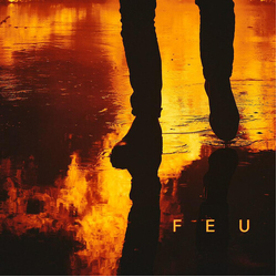 Nekfeu Feu (Fra) vinyl LP