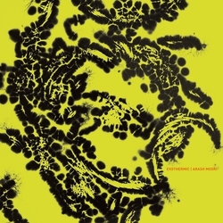 Arash Moori Exothermic Vinyl LP