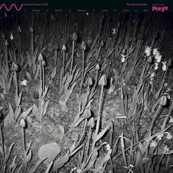 Cucina Povera & Els OYSTERCATCHER Vinyl LP