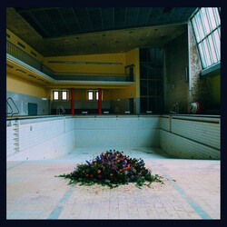 LYR (3) Call In The Crash Team