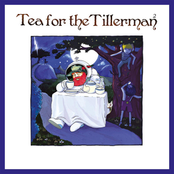 Cat ) Yusuf ( Stevens Tea For The Tillerman 2 vinyl LP