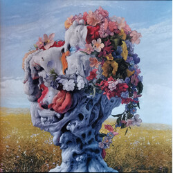 Wilderun Veil Of Imagination Vinyl 2 LP