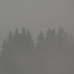 Max Loderbauer DONNERWETTER Vinyl LP