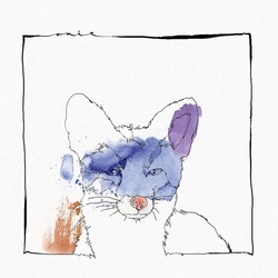 Nico Stojan Cardano EP Vinyl