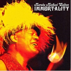 Narada Michael Walden IMMORTALITY VINYL LP