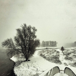 Beequeen WINTER Vinyl LP