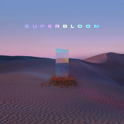MisterWives Superbloom VINYL 2 LP