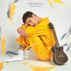 David Rees AMARILLO (W/CD)  Vinyl 2 LP
