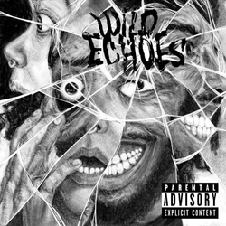 Black Creatures WILD ECHOES VINYL LP