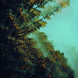 Polymoon Caterpillars Of Creation vinyl LP