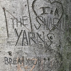 Snarlin Yarns Break Your Heart VINYL LP
