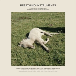 Various Breathing Instruments Vinyl 2 LP